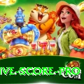 all cricket live score Live Casino Premium