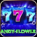 andy flower Turbo v1.6.6