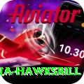 antigua hawksbill Max Pro v3.3.6