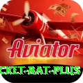 cricket bat Ultimate v5.4.8