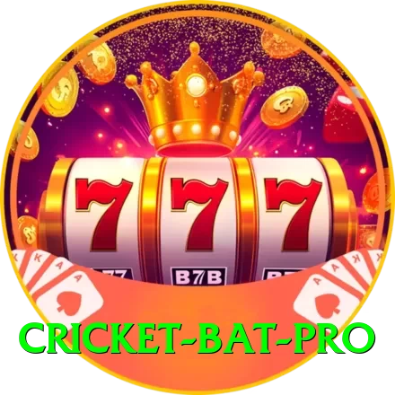 cricket bat - Slots King - 2