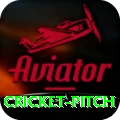 cricket pitch Gold Pro v3.2.4