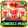 fastest ball in cricket Royal - Free Download