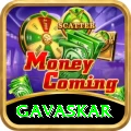gavaskar VIP Pro v1.5.1
