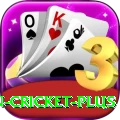 india pakistan cricket Casino Gold v5.4.9