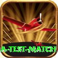 india test match Premium Edition v3.2.2