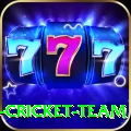 ireland cricket team Deluxe v4.0.4