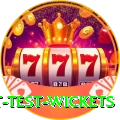 most test wickets Elite Pro v2.1.5