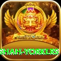 naseem shah yorkers Apps (Tools & Injectors) Turbo v3.8.2