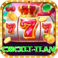 netherlands cricket team Elite Pro v3.6.5