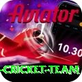 pakistan women cricket team VIP Edition v5.0.8