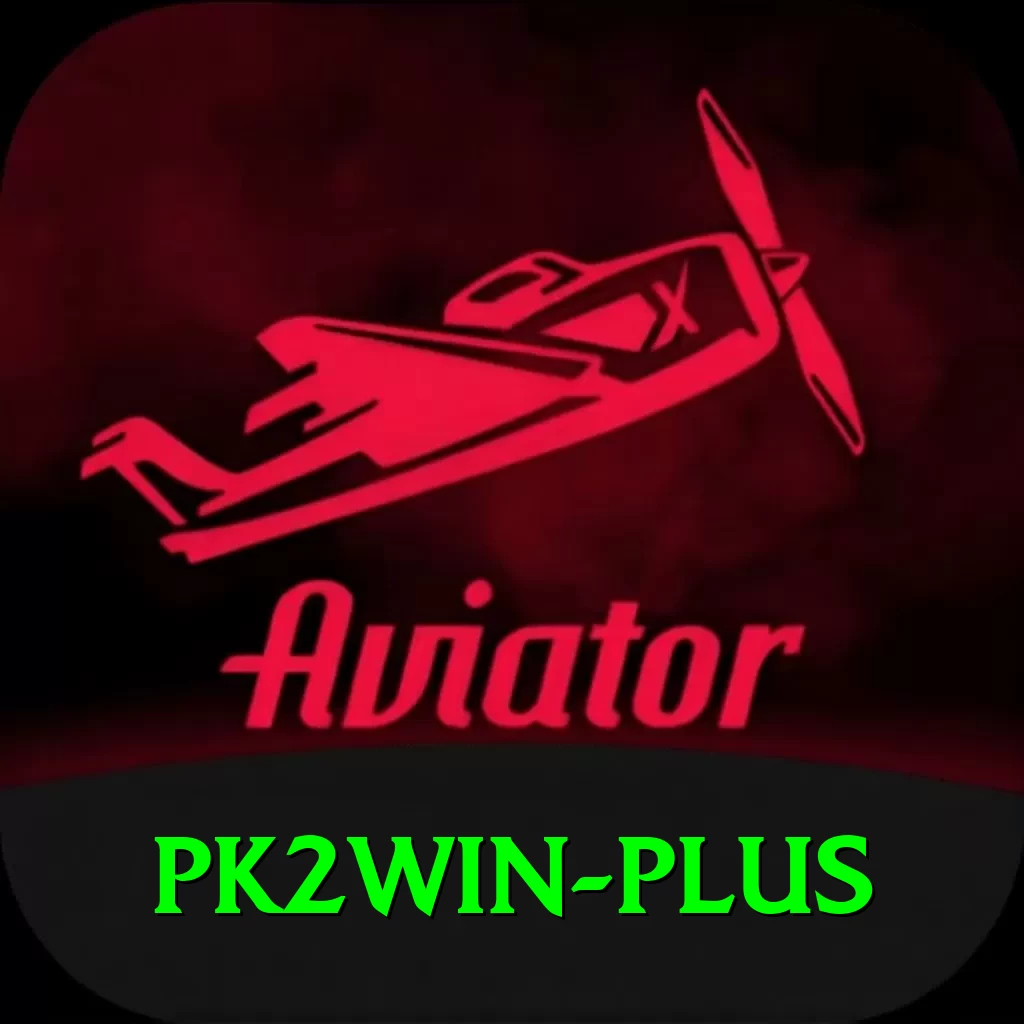 pk2win Plus Pro v4.8.1 - 2