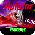 pkspin Pro Max vv1.0.0