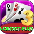 r cricket - Casino King
