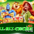 risk free bet cricket Premium v4.2.4