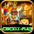 sa cricket Master v3.8.4