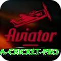 sri lanka cricket APK Deluxe v2.6.3