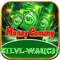 steve waugh VIP v1.2.7