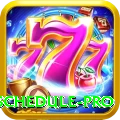 t20 match schedule - Pro Edition v5.5.9