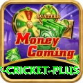 v cricket Elite Casino App