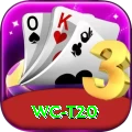 wc t20 Apps (Tools & Injectors) Master v5.8.1