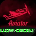 willow cricket Gold Edition v5.7.1