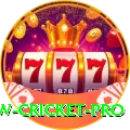 willow cricket Bonus King v1.1.3