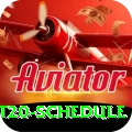 world t20 schedule Gold Pro v1.8.2